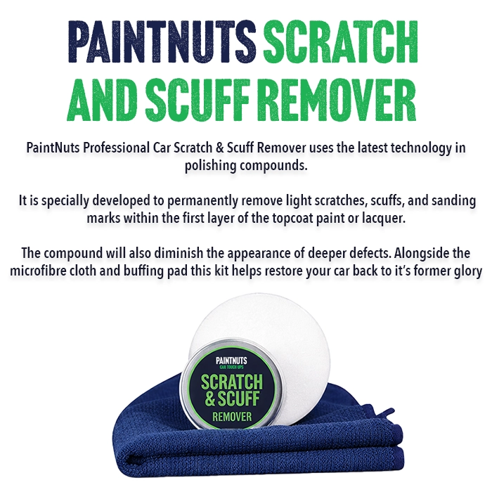 PaintNuts Scratch & Scuff Kit